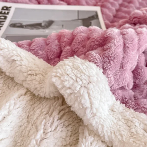 New Jacquard Large Edge AB Edition Golden Turtle Fleece Lamb Milk Velvet Double Layer Thickened Blanket Cover Blanket - Image 5